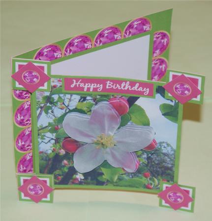 Apple Blossom by Christine Dixon