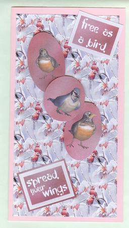 Snow Birds - Backing Paper by Christine Dixon