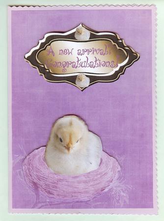 Empty Nest Lilac A4 Backing Paper by Christine Dixon