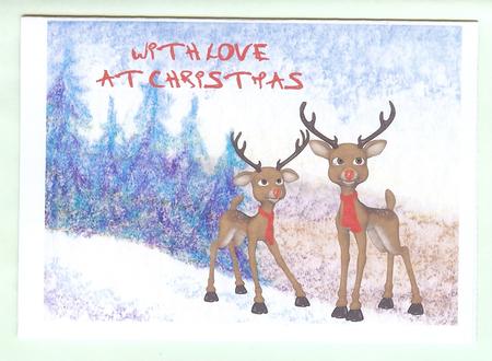 Fir Trees, Snow and Sky Insert by Christine Dixon