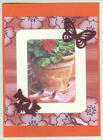 Red Painted Blossom Edge A4 Backing Paper by Christine Dixon