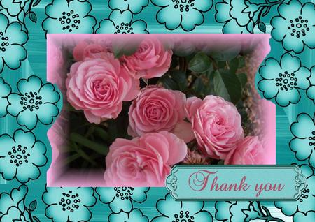 Pink Beauty by Christine Dixon