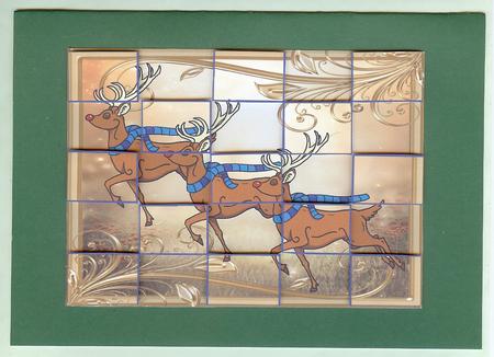 Running Raindeer by Christine Dixon