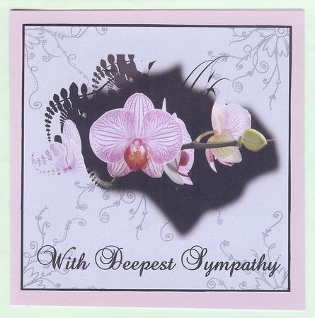 Pink and Purple Orchids by Christine Dixon