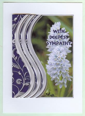 Striped Squill Blooms 1 by Christine Dixon