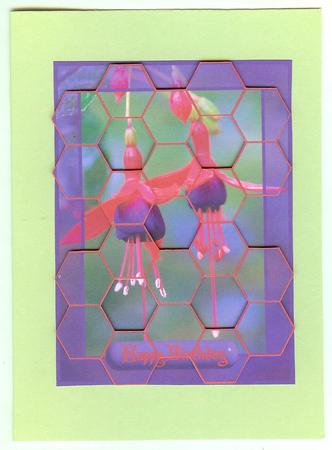 Fantastic Fuchsia! by Christine Dixon