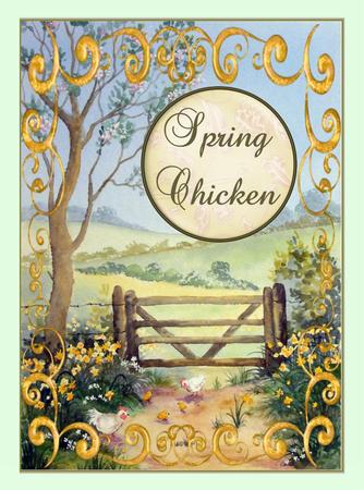 Chickens and Daffodils. Original Watercolour Painting by Christine Dixon