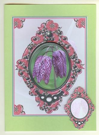 Snake's Head Fritillary by Christine Dixon