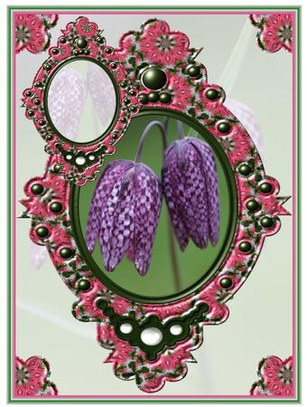 Fancy Pink Tag Frames by Christine Dixon