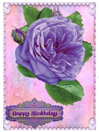 Cut Out Roses Purple and 3 Stage Cut Out Designer Resource by Christine Dixon