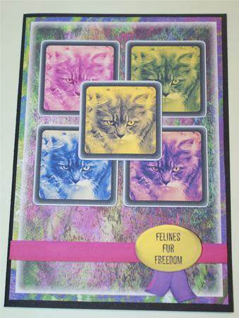 Lechat 4, Felines Fur Freedom A5 Pyramid Card by Christine Dixon