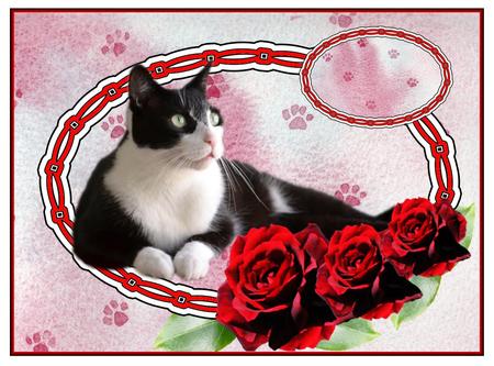 Designer Resource Artistic Papa Meilland Red Rose by Christine Dixon