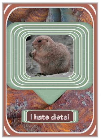 Prairie Dog by Christine Dixon