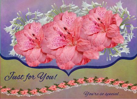 Azaelia Designer Resource 5 Layers Frame and Design Png by Christine Dixon