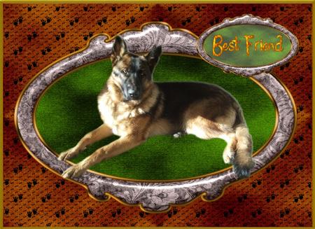 German Shepherd Designer Resource 300 Png by Christine Dixon