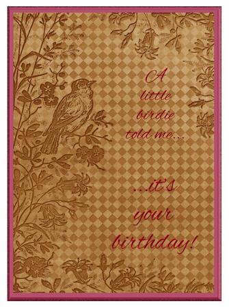Vintage Tea Bird Edge Check A4 Backing Paper by Christine Dixon