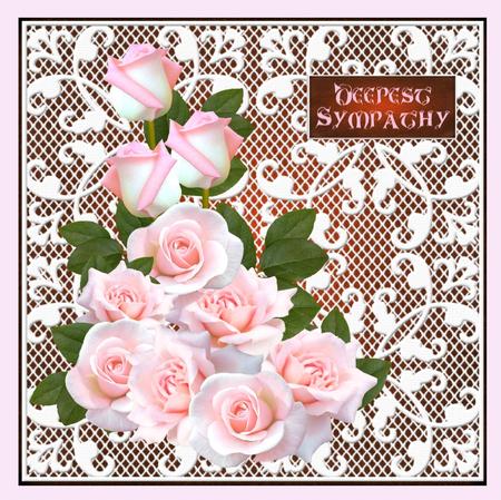 Pale Pink Roses Cuse by Christine Dixon