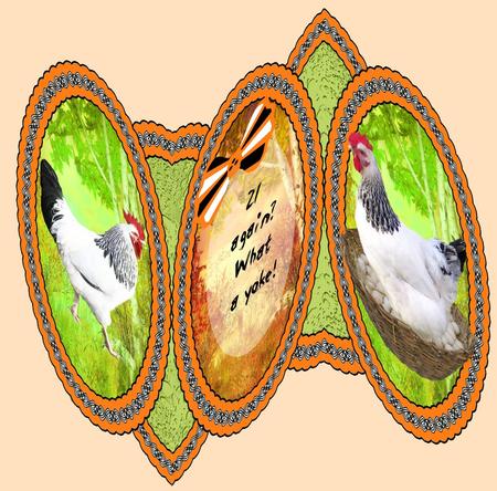 More Chooks Designer Resources 300dpi Png by Christine Dixon