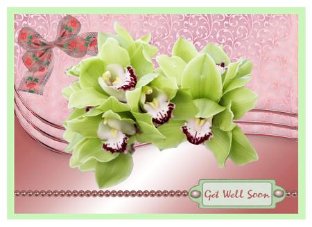 Green Orchids Designer Resource 300dp1 by Christine Dixon
