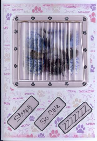 Cute Cats 1 by Christine Dixon