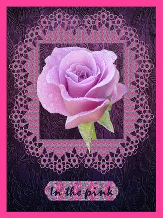 Pink Roses Layered with Frame Designer Resource by Christine Dixon