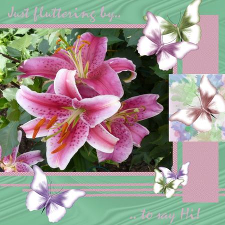 6 Sweet Butterflies - Cu4cu by Christine Dixon