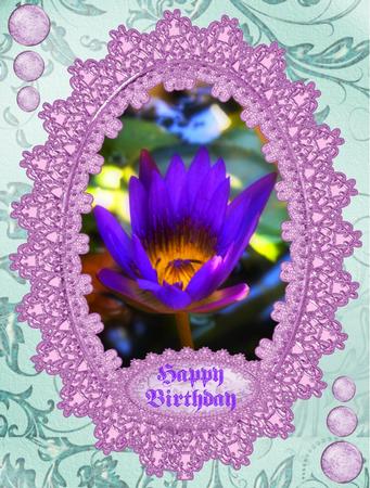 Purple Water Lily by Christine Dixon