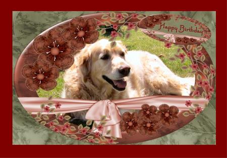 Two Golden Retrievers Sunbathing in the Garden by Christine Dixon