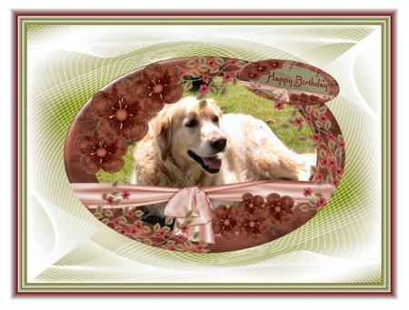 Fracback Background Papers - Cu4cu by Christine Dixon