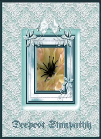 6 Pearls and Flower Frames Set 2 by Christine Dixon
