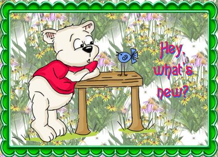 Flowers for All Occasions Background by Christine Dixon