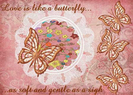 Butterflies by Christine Dixon