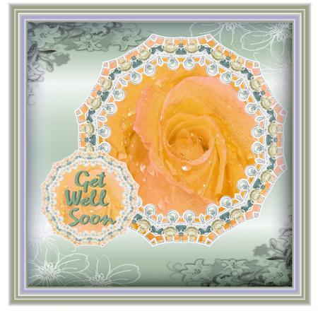 Rose Background 2 by Christine Dixon