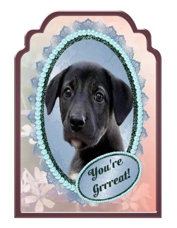 4 Dog Cut Outs Designer Resource,cu4cuok by Christine Dixon