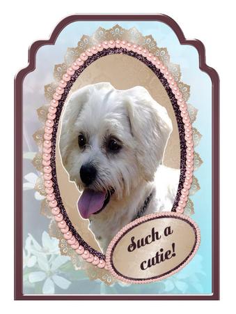 Lace and Damask Mats, and Frames by Christine Dixon