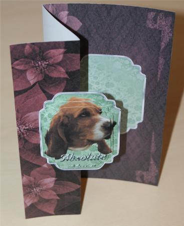 Absolute Love Basset Dl No Hole Fold Back Card by Christine Dixon