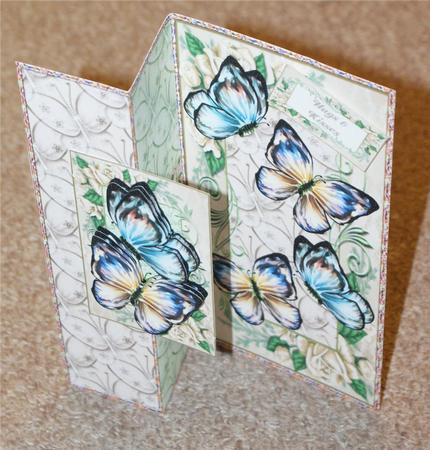 Butterflies & Roses Dl No Hole Foldback Card - Cream by Christine Dixon