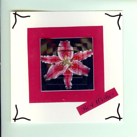 Lily in Pink and Black 2 Card Sheet by Christine Dixon