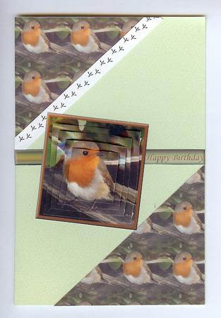 Robin Pyramid with Background by Christine Dixon
