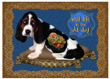 8 Gold Edged Decorative Mats - Cu4cu by Christine Dixon