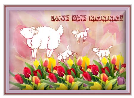 Spring Lambs by Christine Dixon