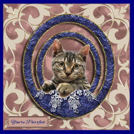 12 Jeweled Pattern Frames - Cu4cu by Christine Dixon