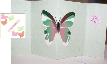 Hot-pink Green Butterfly by Christine Dixon