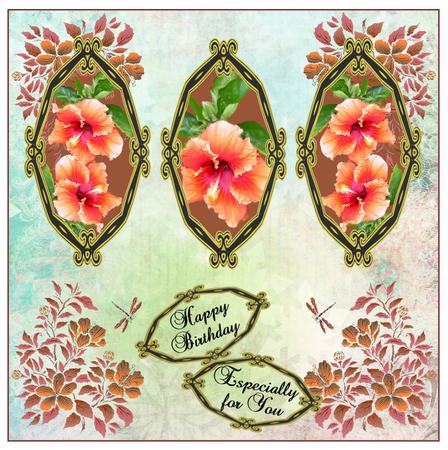 Hibiscus Designers Resources 300dpi Png by Christine Dixon