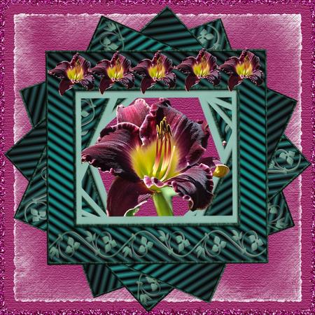 Iris 2 Colours 3D Ready to Use Cu/ok by Christine Dixon