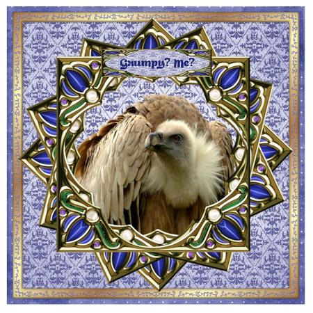 Bird of Prey by Christine Dixon
