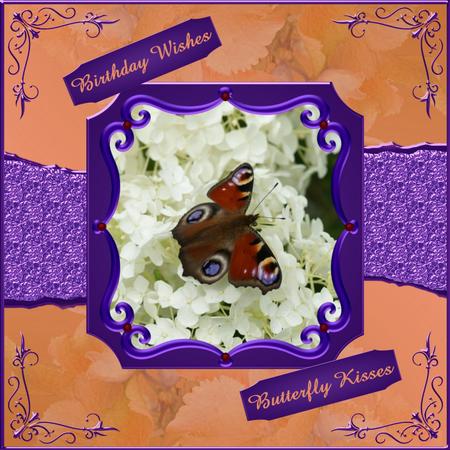 Peacock Butterfly Selection Two Cu4cu by Christine Dixon