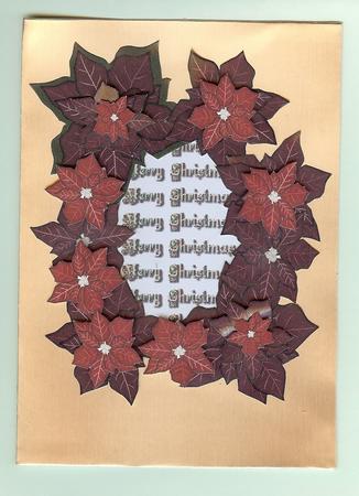 Build Your Own Poinsettia by Christine Dixon