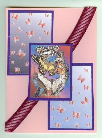Butterflies Sheet 5 by Christine Dixon
