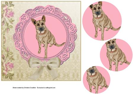 Cu 6 Round Lace Doilies by Christine Dixon